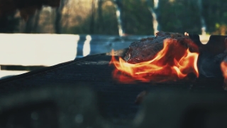 Promo Stock Video, Goldfish, Fire, Flame, Heat, Barbecue