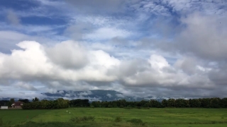 Background Footage, Sky, Atmosphere, Field, Grass, Meadow
