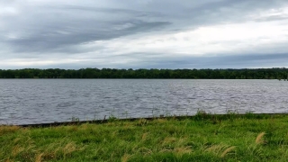 Background Video Footage, Lake, Lakeside, Water, Landscape, Shore