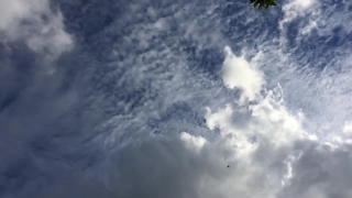 Background Videos, Sky, Atmosphere, Weather, Clouds, Cloud