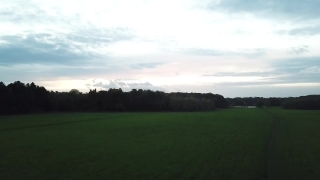 Download Sunrise Video Clips, Field, Grass, Sky, Rough, Landscape