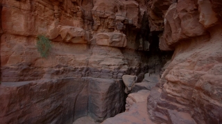 Footage For Video Editing, Cliff Dwelling, Dwelling, Housing, Canyon, Rock