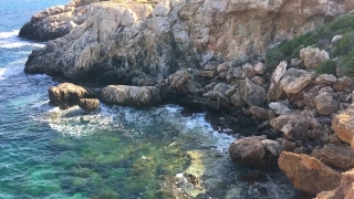 Loop Background, Water, Sea Lion, Rock, Stone, Eared Seal