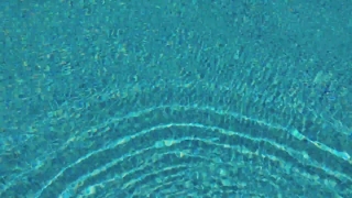 No Copyright Long Video Download, Pattern, Texture, Water, Coral Reef, Transparent