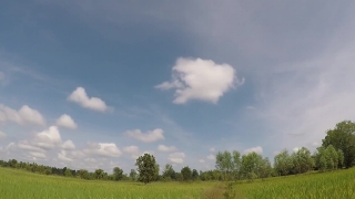 Video Clip No Copyright, Sky, Atmosphere, Field, Meadow, Landscape