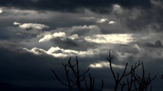 Video Editing Background, Sky, Atmosphere, Tree, Clouds, Sun
