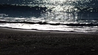 Vidio Animation, Ocean, Sea, Water, Beach, Sand