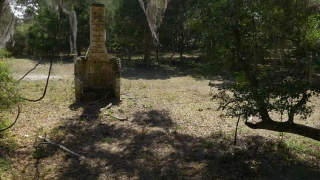 Website Background Video Loop, Memorial, Megalith, Structure, Tree, Forest